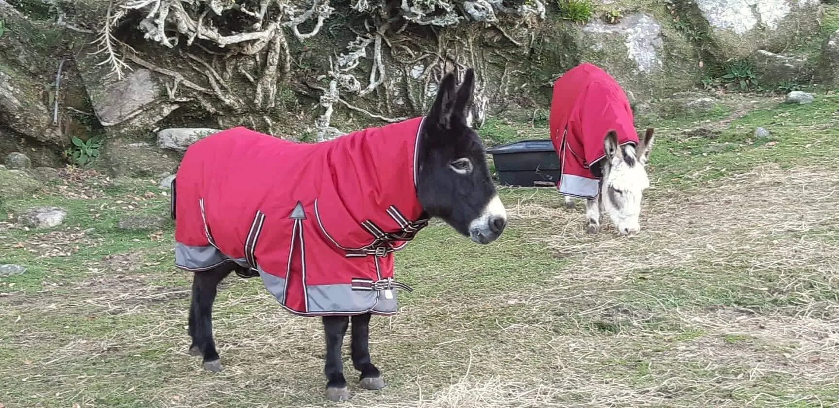 1200D No Fill Red/Grey Combo (Pony)-2022 Stock Clearance