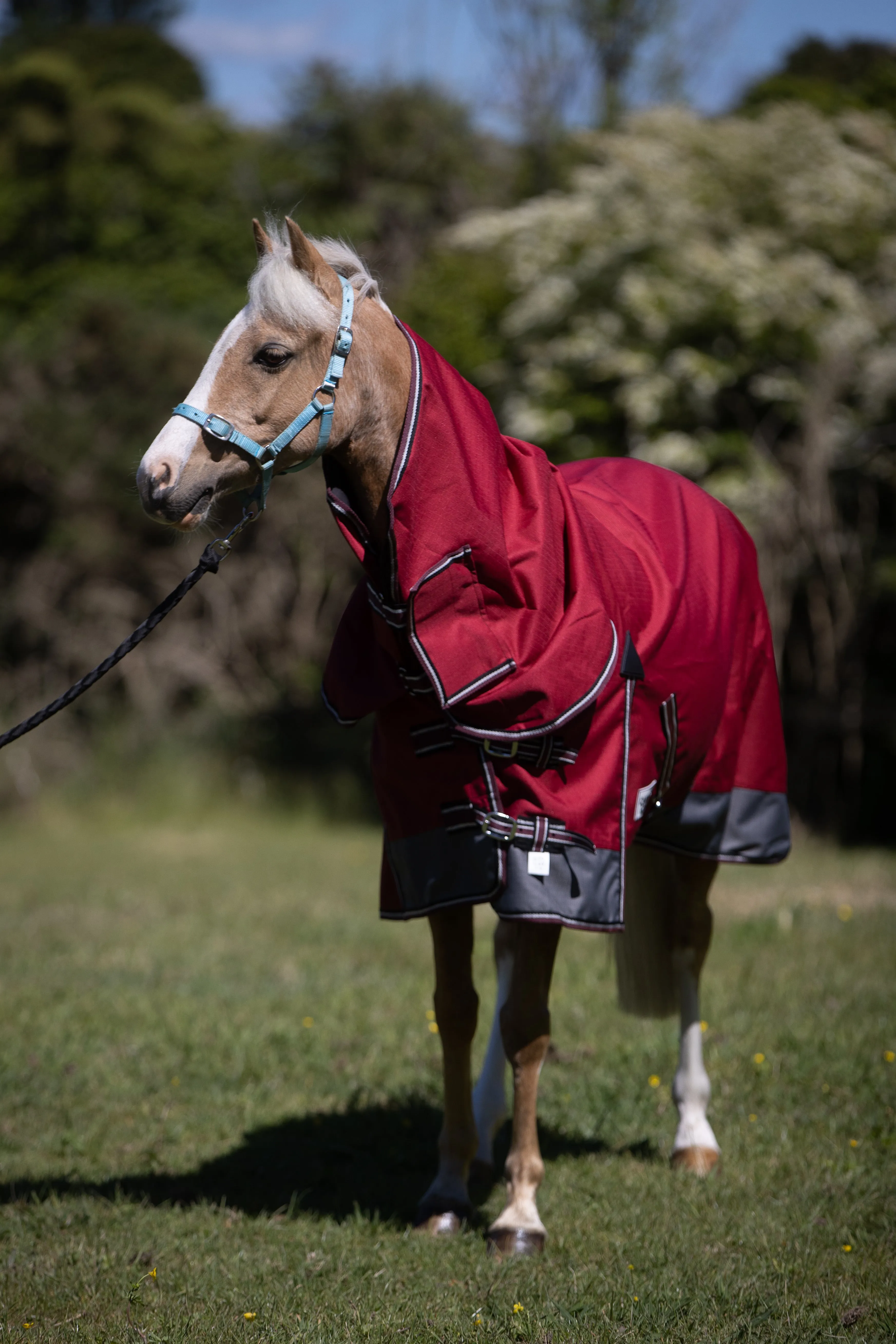 1200D No Fill Red/Grey Combo (Pony)-2022 Stock Clearance