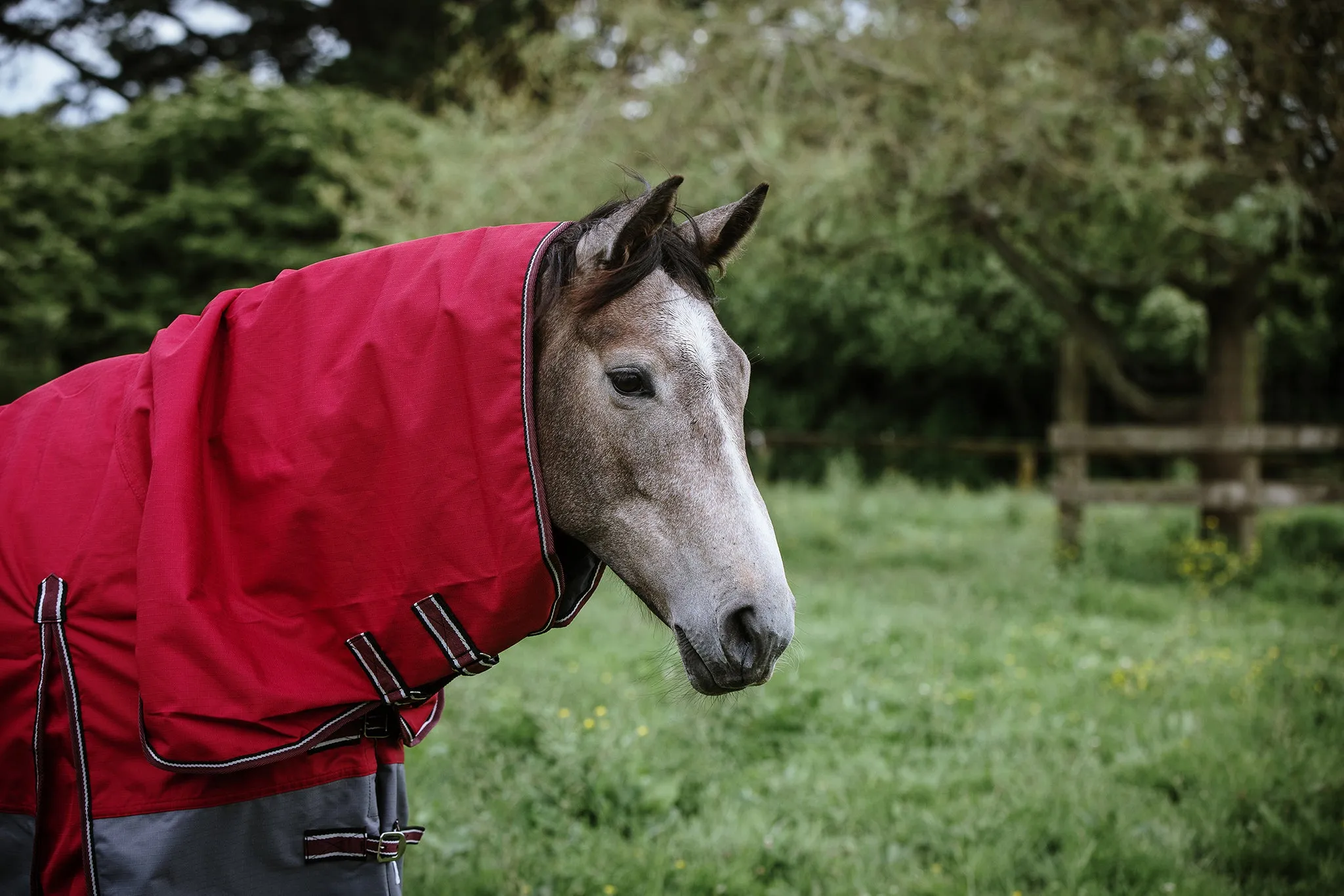 1200D No Fill Red/Grey Combo (Pony)-2022 Stock Clearance
