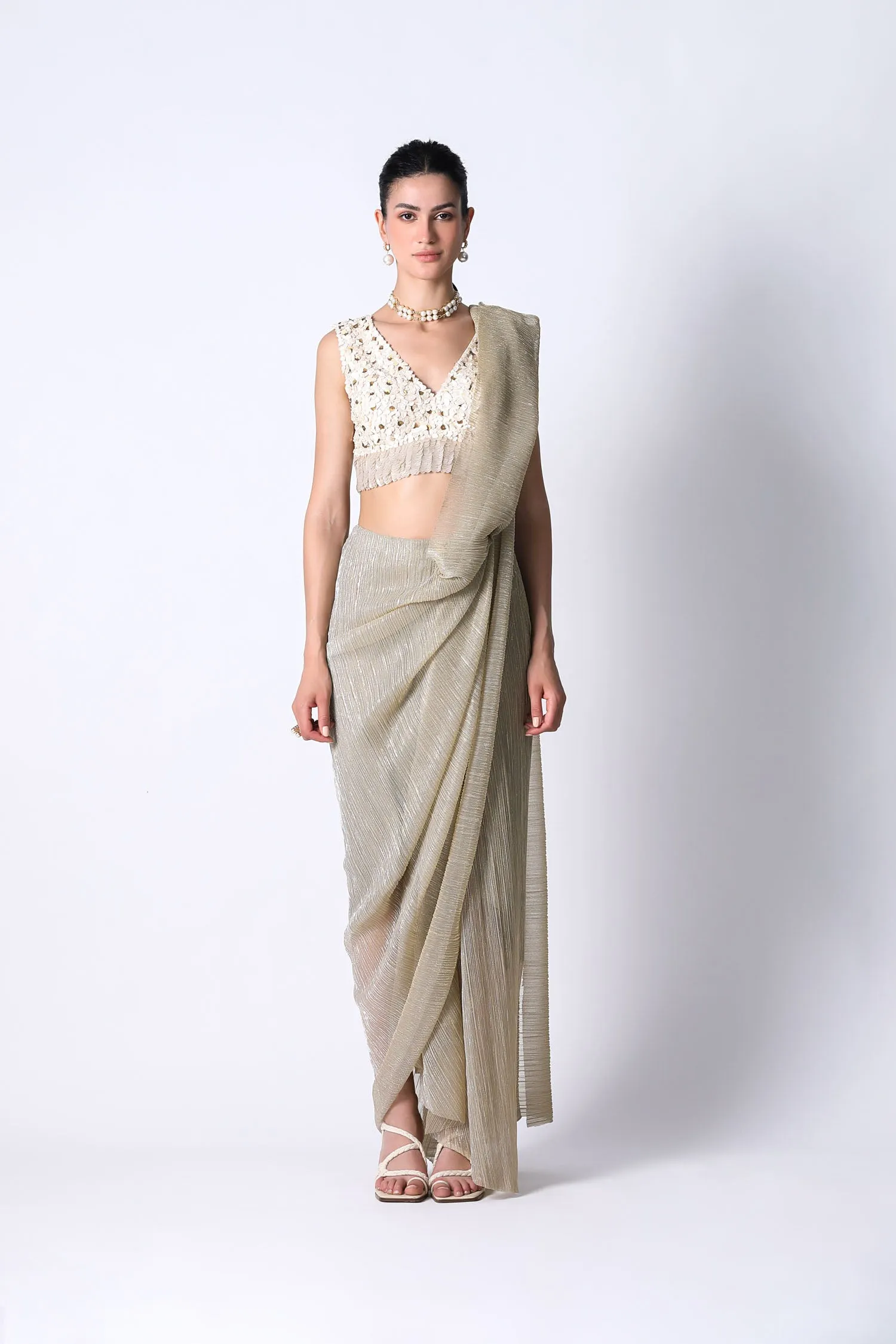 Avis Blouse with Pari Net Sari