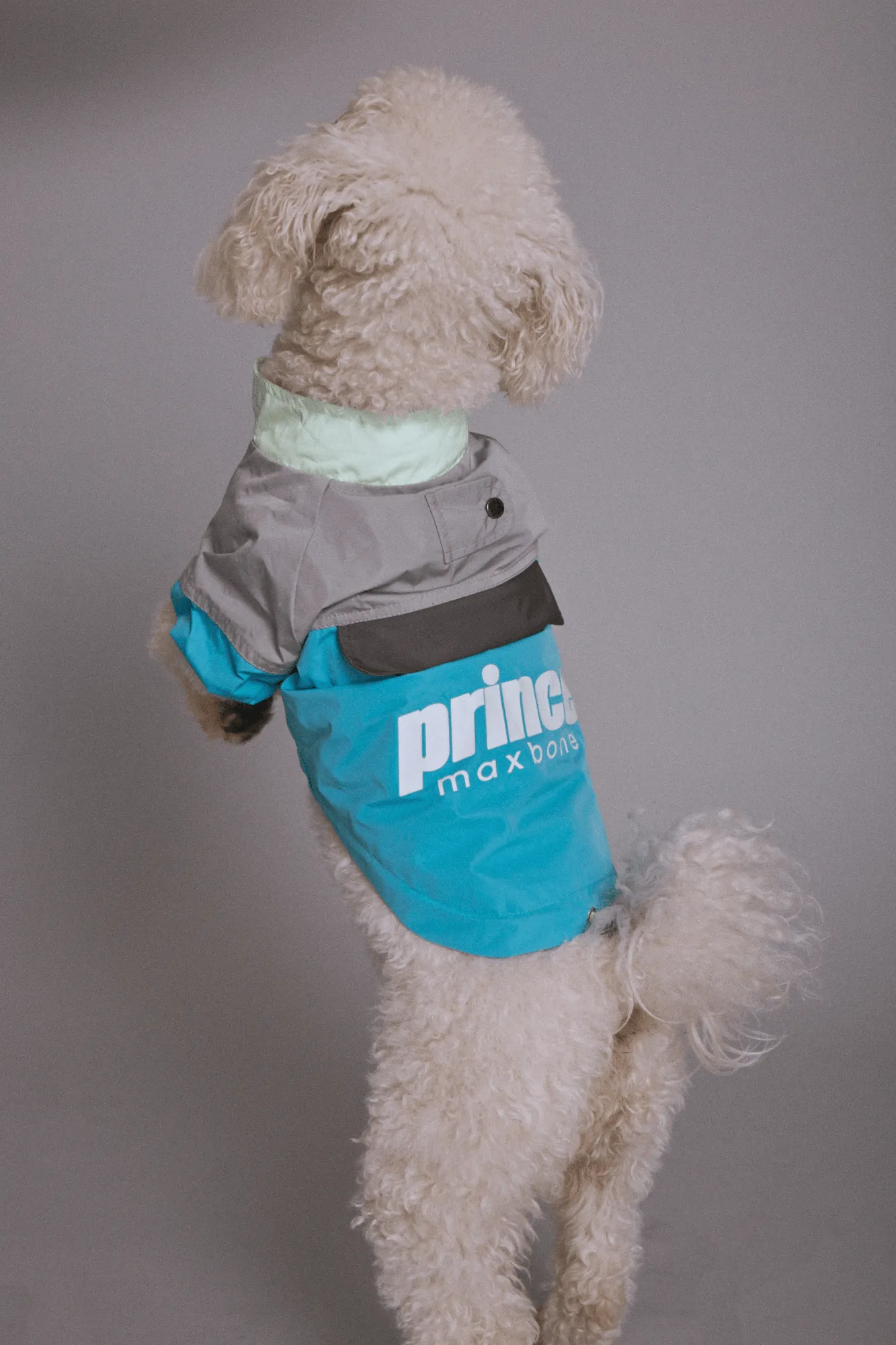 maxbone X Prince Glowing Windbreaker