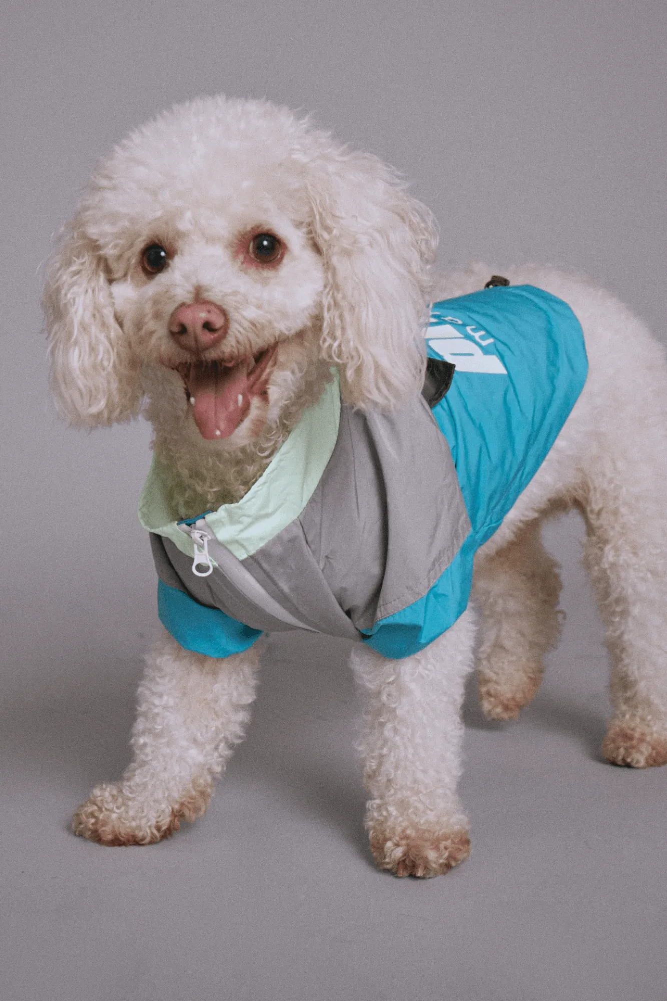 maxbone X Prince Glowing Windbreaker